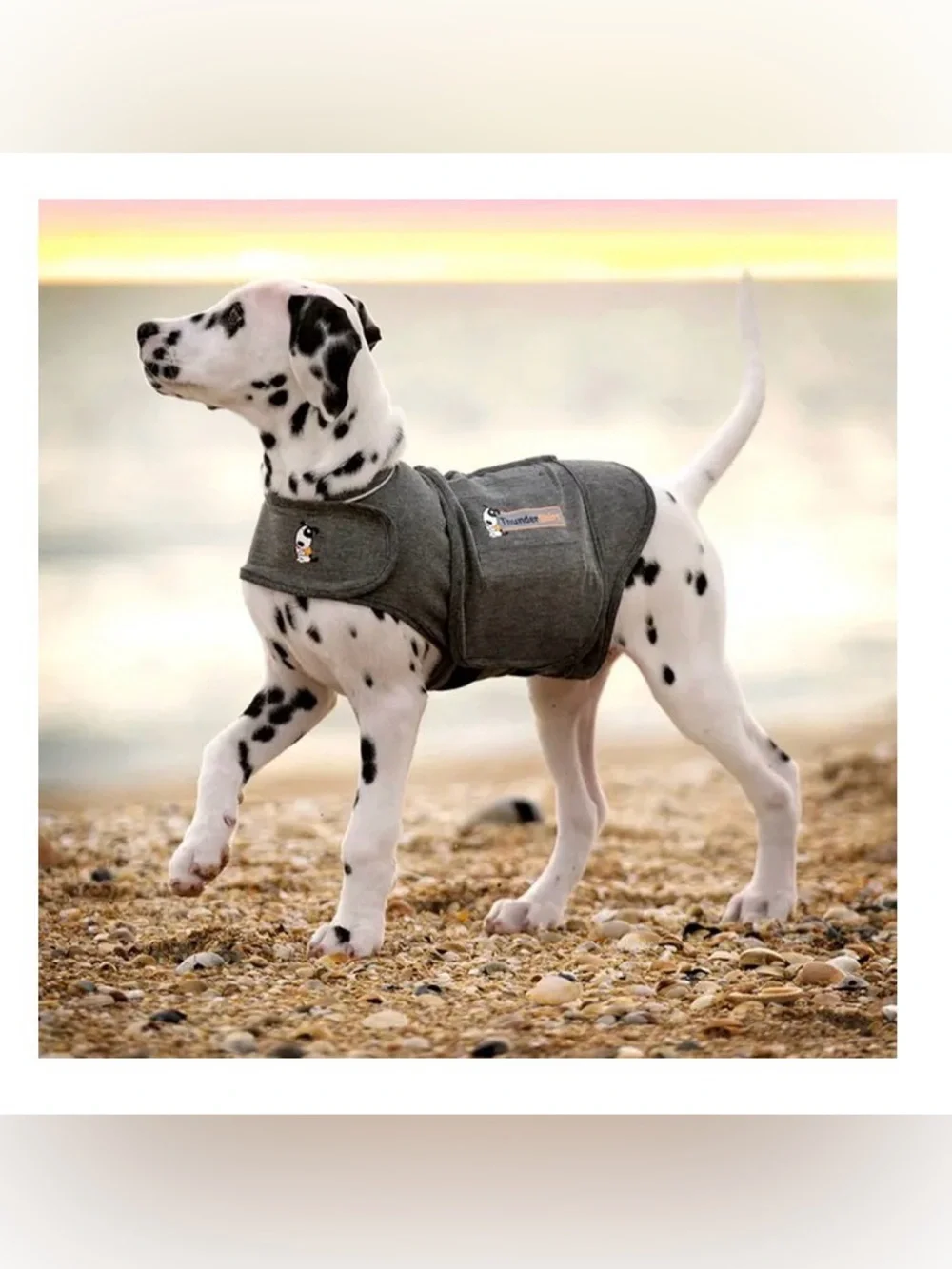 Thundershirt Gray Calming Dog Vest for Anxiety Relief